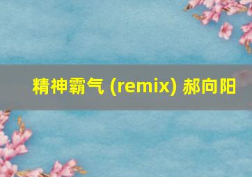 精神霸气 (remix) 郝向阳